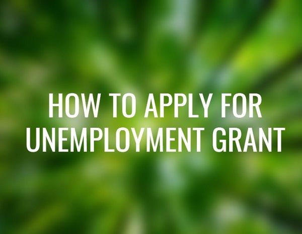How to Apply for Unemployment Grant (South Africa Sassa R350 Relief Funds)